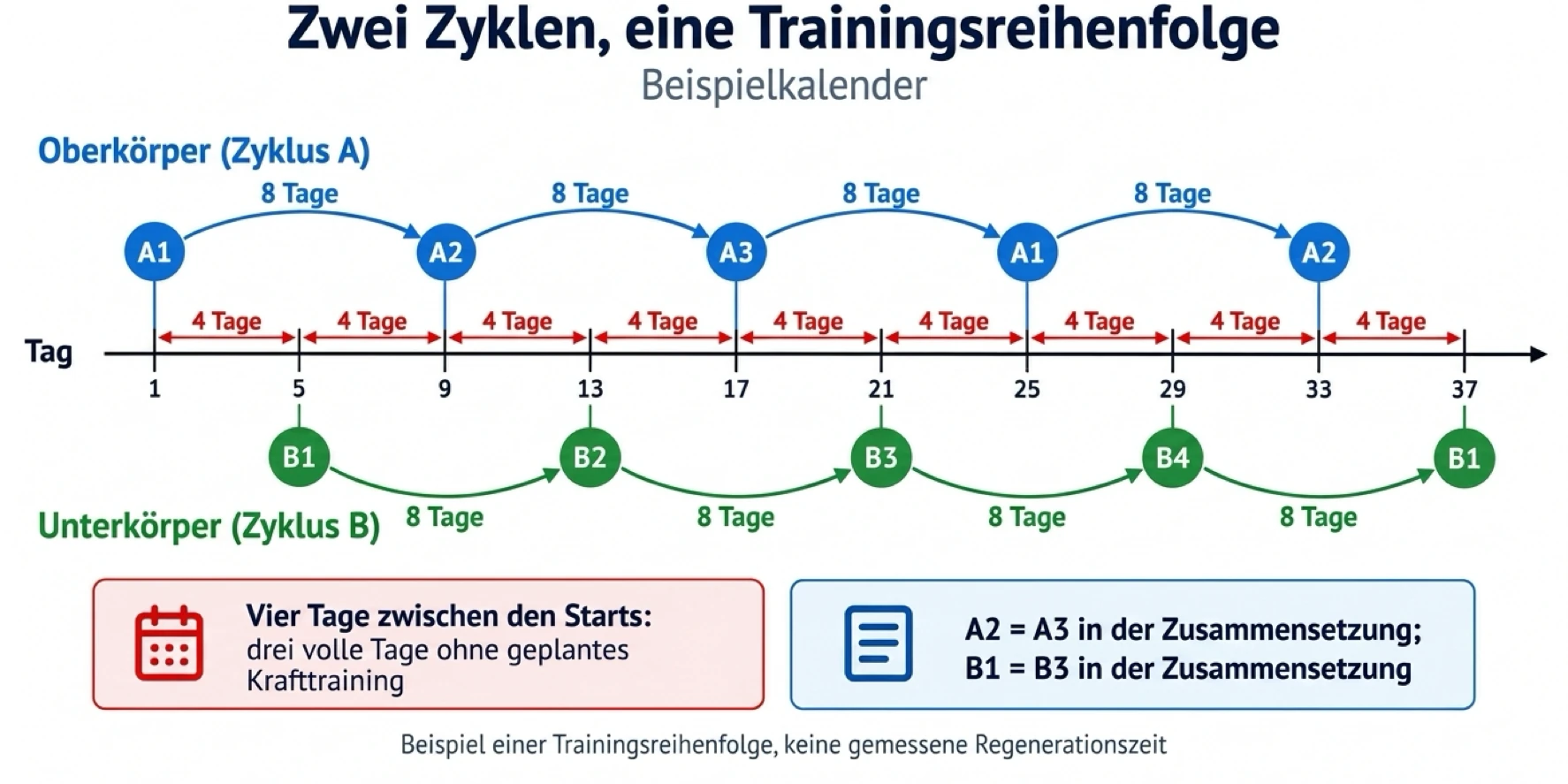 Der Trainingskalender wechselt alle vier Tage zwischen Oberkörper- und Unterkörpereinheiten und behält dabei zwei unabhängige, rotierende Zyklen bei.