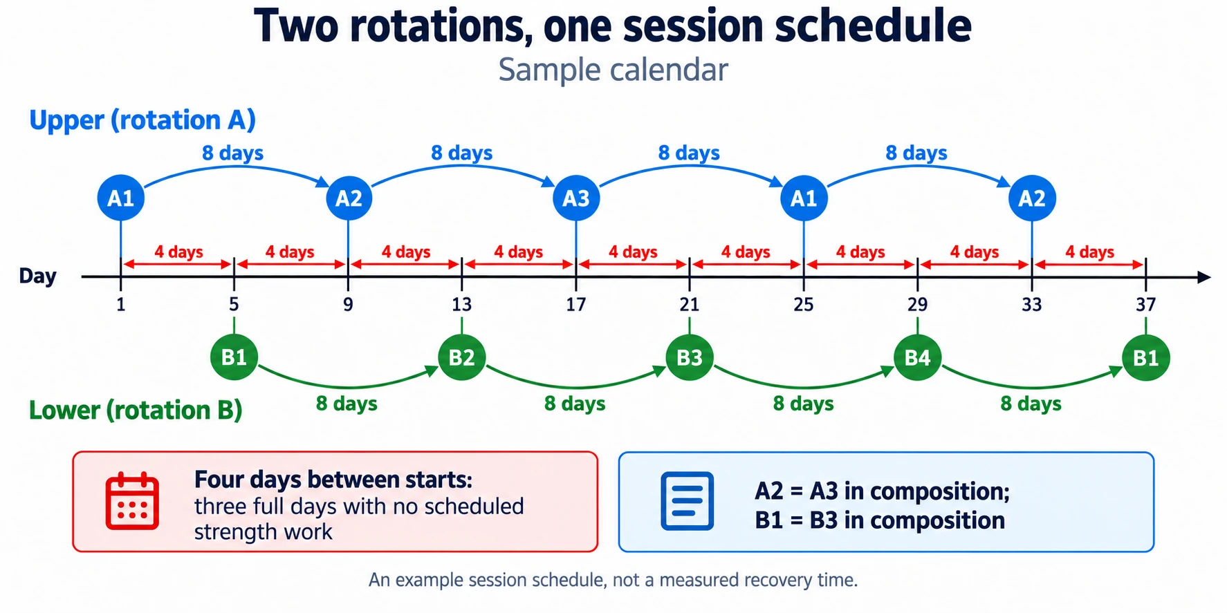 The training calendar alternates between upper and lower body sessions every four days, maintaining two independent, continuously rotating cycles.