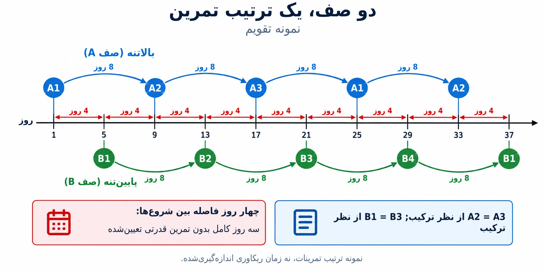 تقویم تمرینی هر چهار روز بین جلسات بالاتنه و پایینتنه جابهجا میشود و دو چرخه مستقل و مداوم را حفظ میکند.