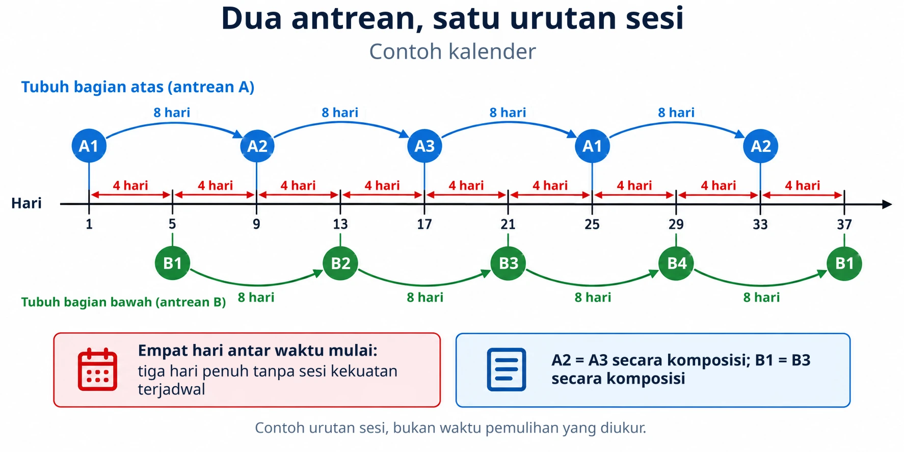 Kalender latihan bergantian antara sesi tubuh bagian atas dan bawah setiap empat hari, mempertahankan dua siklus yang berputar secara independen.