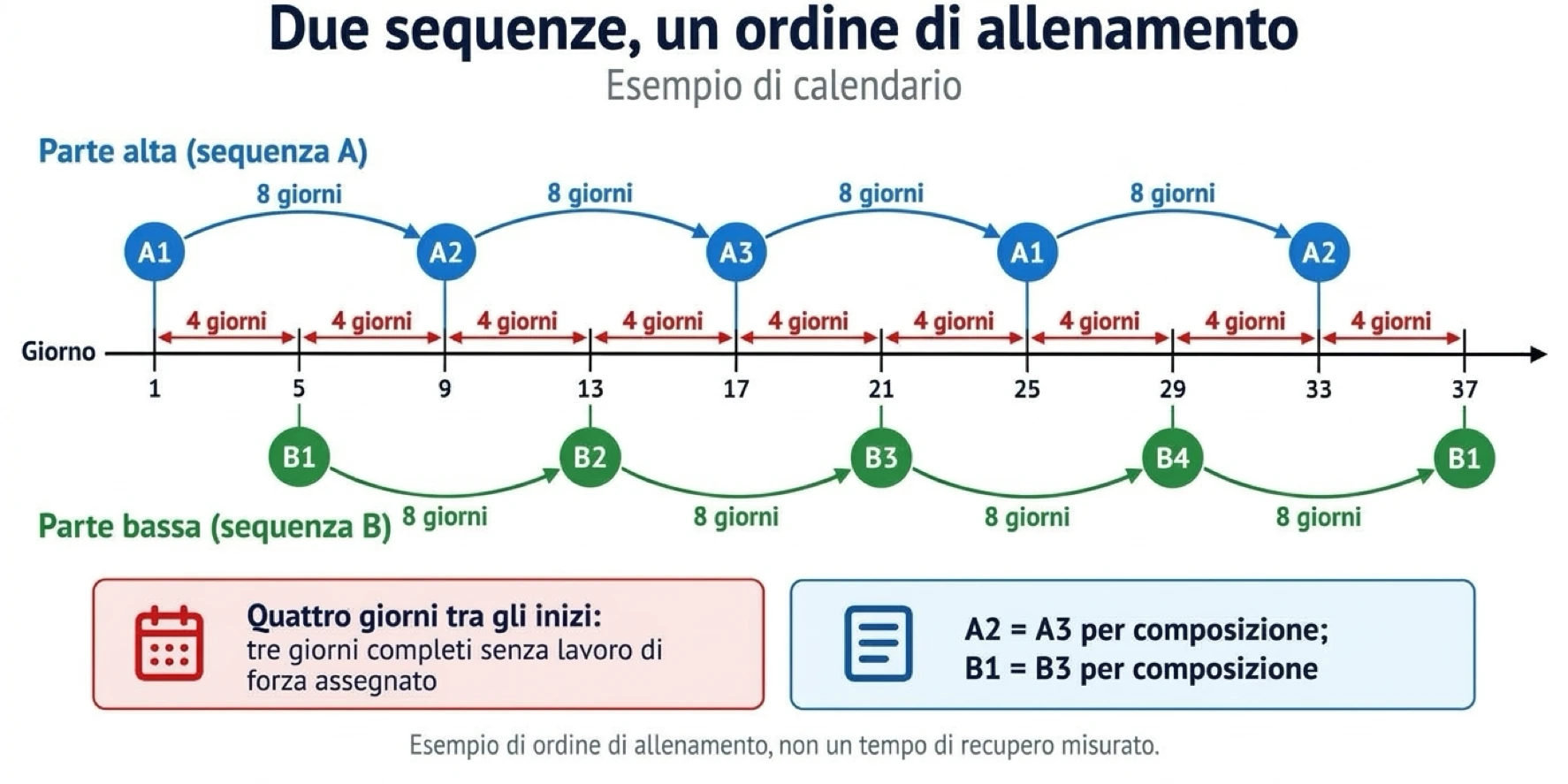 Il calendario di allenamento alterna sessioni per la parte alta e bassa del corpo ogni quattro giorni, mantenendo due sequenze rotanti indipendenti.