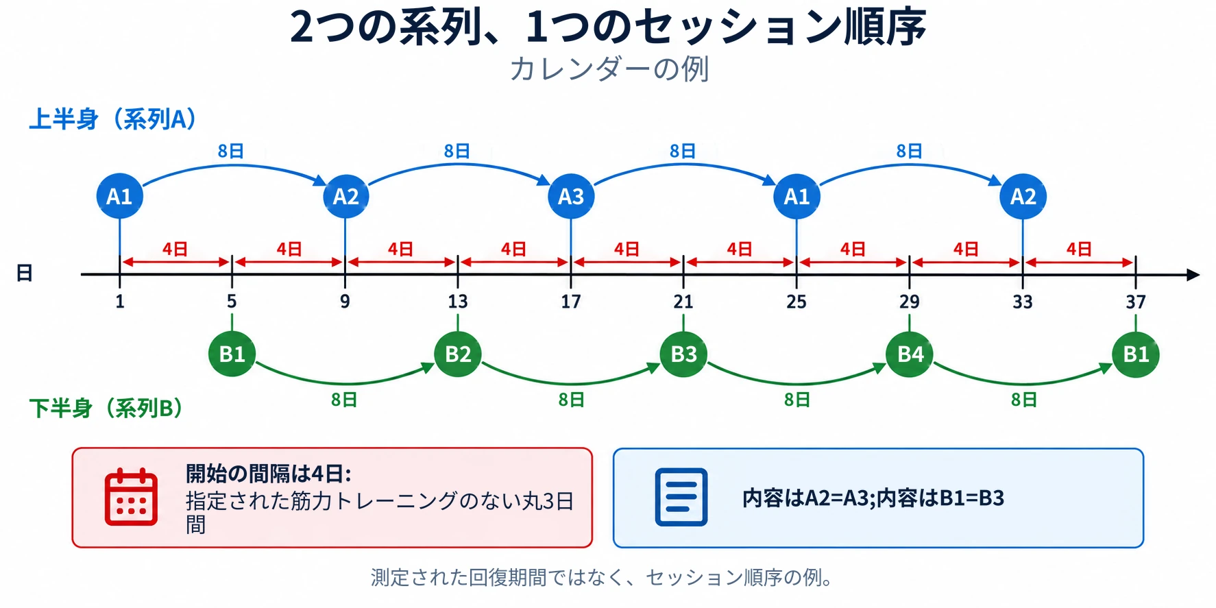 トレーニングカレンダーは上半身と下半身のセッションを4日ごとに交互に行い、独立した2つのサイクルを維持します。