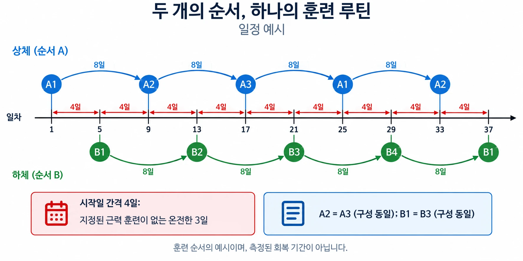 훈련 일정은 4일마다 상체와 하체 세션을 교대로 진행하여 두 개의 독립적인 순환 주기를 유지합니다.