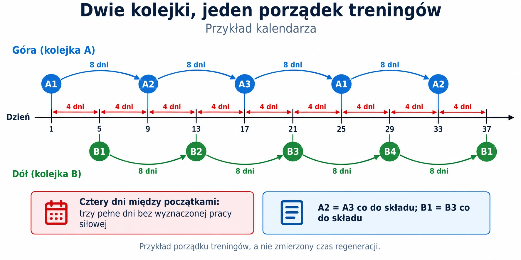 Kalendarz treningowy naprzemiennie przeplata sesje na górę i dół ciała co cztery dni, utrzymując dwa niezależne, ciągłe cykle.