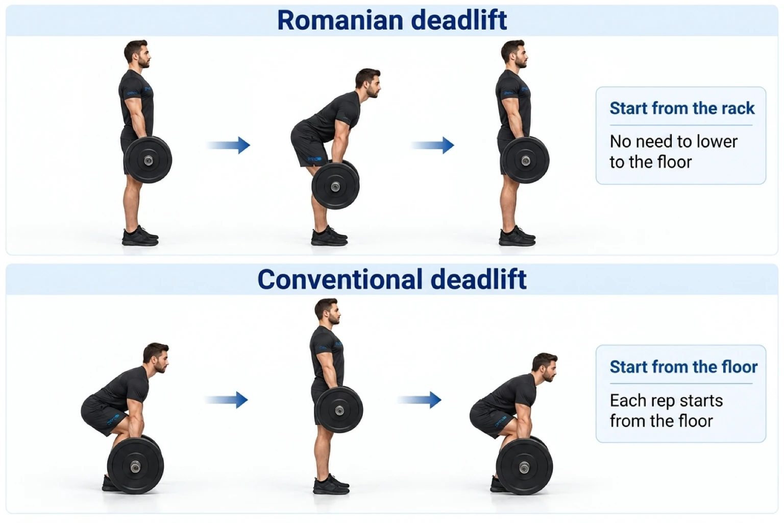 The Romanian deadlift begins from a standing position without touching the floor, unlike the conventional deadlift which starts from the floor on every repetition.