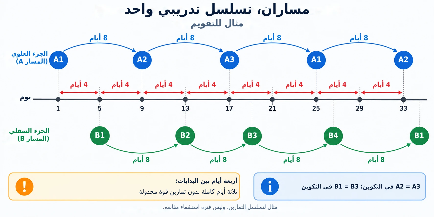 ترك أربعة أيام بين جلسات الجزء العلوي والسفلي يوفر فترة استشفاء مدتها ثمانية أيام قبل تكرار نفس نوع التمرين.