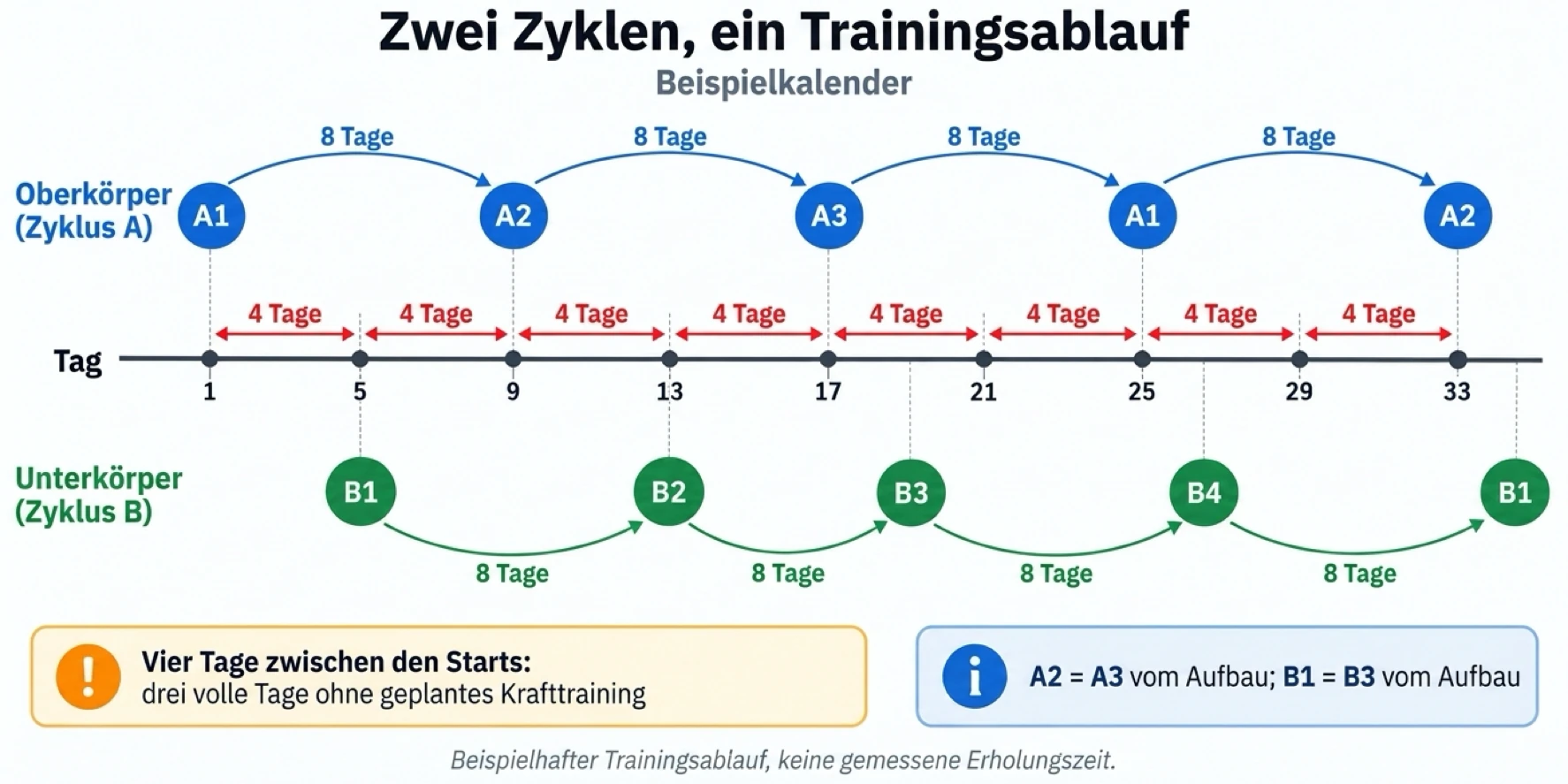 Vier Tage zwischen Ober- und Unterkörpereinheiten schaffen ein achttägiges Erholungsintervall, bevor derselbe Trainingstyp wiederholt wird.
