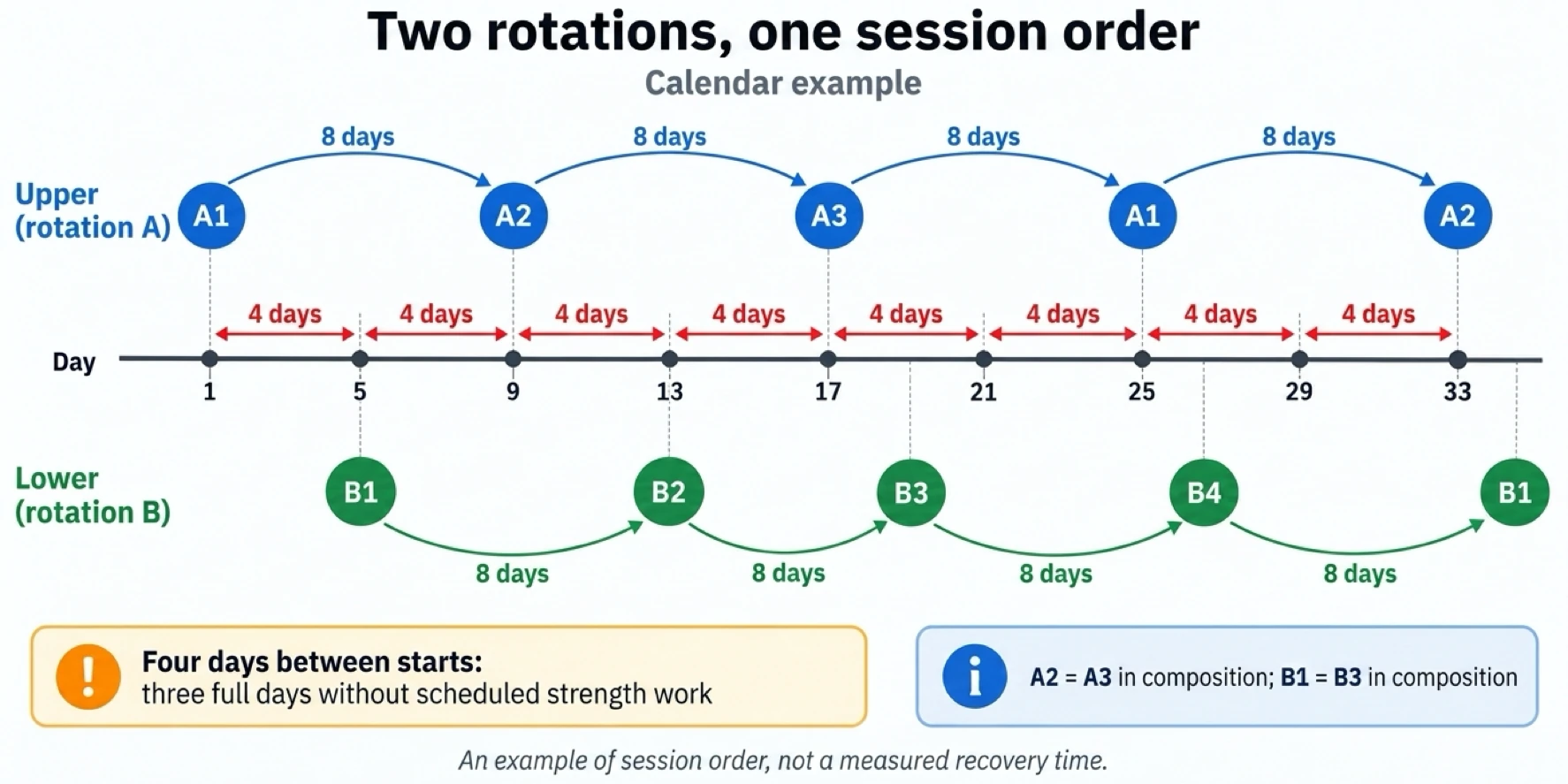 Spacing upper and lower body sessions four days apart creates an eight-day recovery interval before repeating the same type of workout.