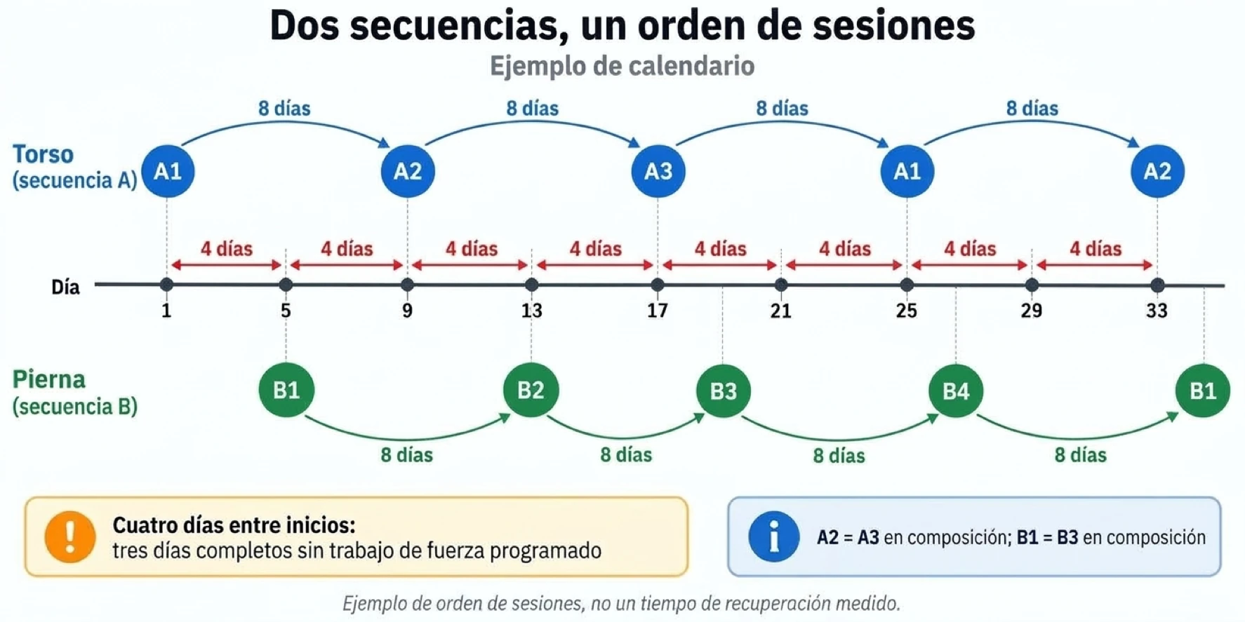 Espaciar las sesiones de torso y pierna cuatro días crea un intervalo de recuperación de ocho días antes de repetir el mismo entrenamiento.