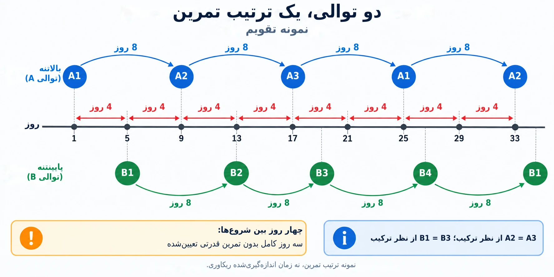 فاصله چهار روزه بین جلسات بالاتنه و پایینتنه، یک زمان ریکاوری هشت روزه را پیش از تکرار همان نوع تمرین فراهم میکند.