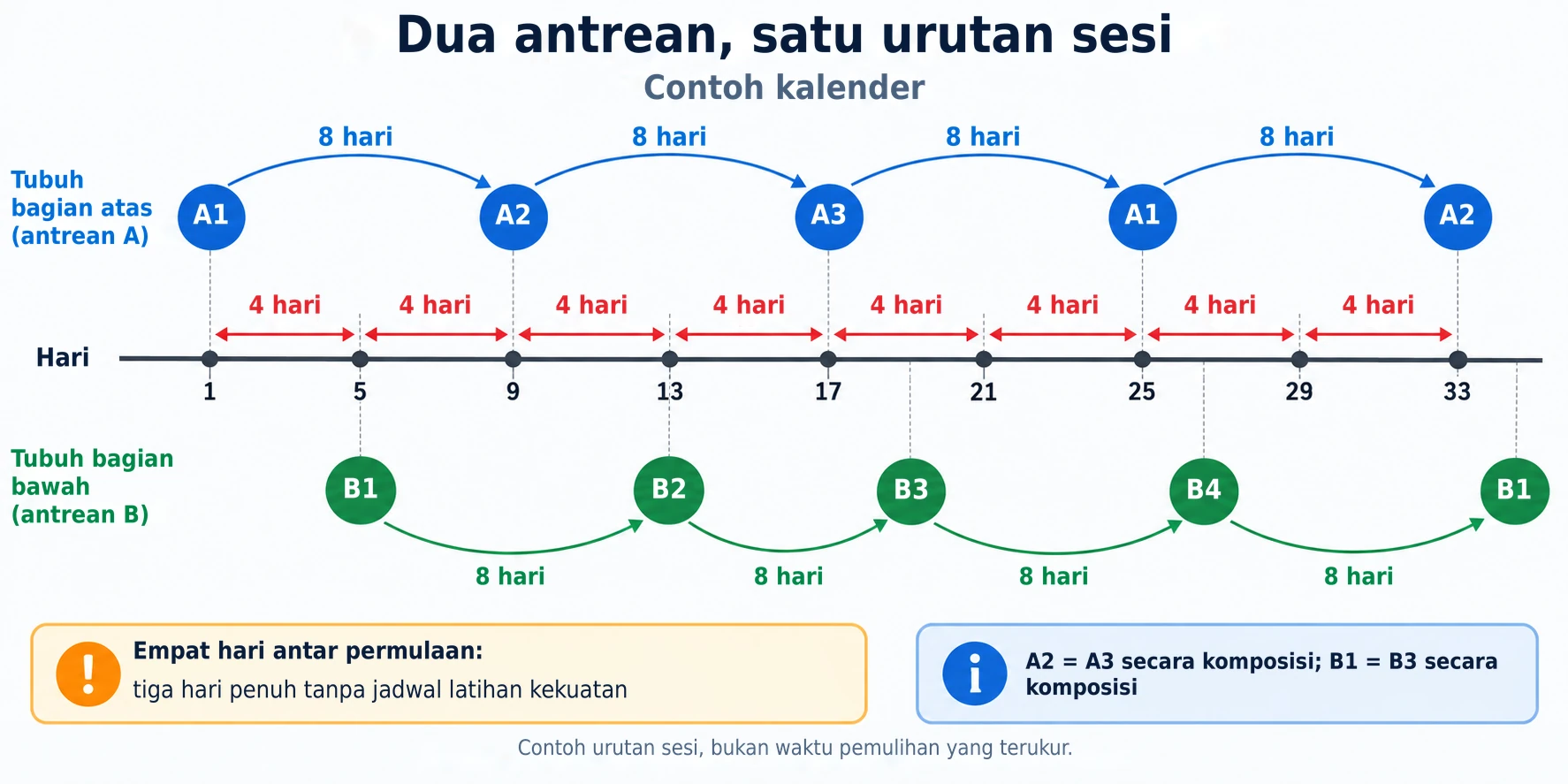 Empat hari antara sesi tubuh bagian atas dan bawah menciptakan interval pemulihan delapan hari sebelum mengulang jenis latihan yang sama.