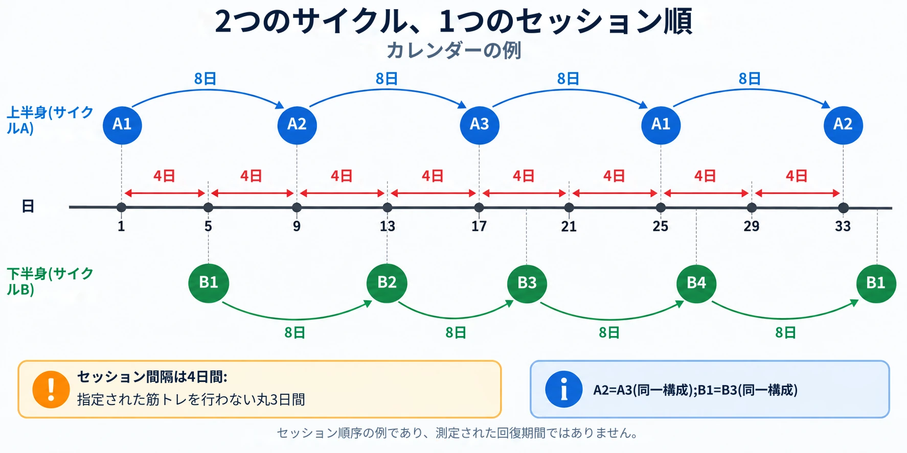 上半身と下半身のセッションを4日間隔にすることで、同じ種類のワークアウトを繰り返す前に8日間の回復期間が設けられます。
