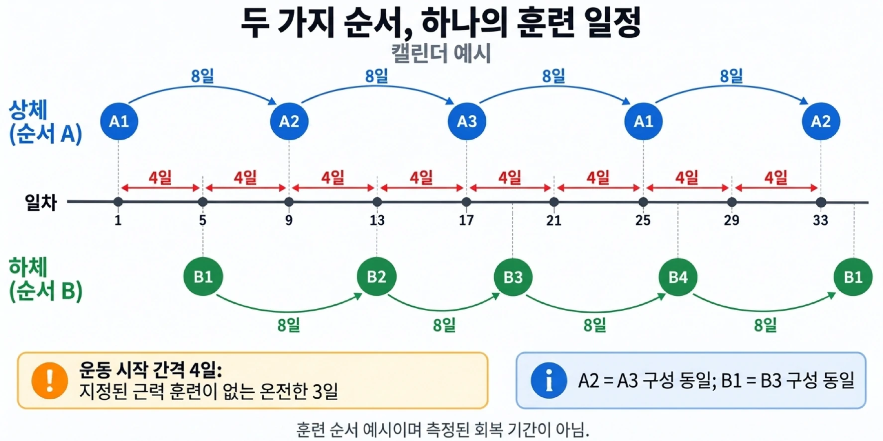 상체와 하체 세션 사이에 4일의 간격을 두면 동일한 운동을 반복하기 전까지 8일의 회복 기간을 가질 수 있습니다.