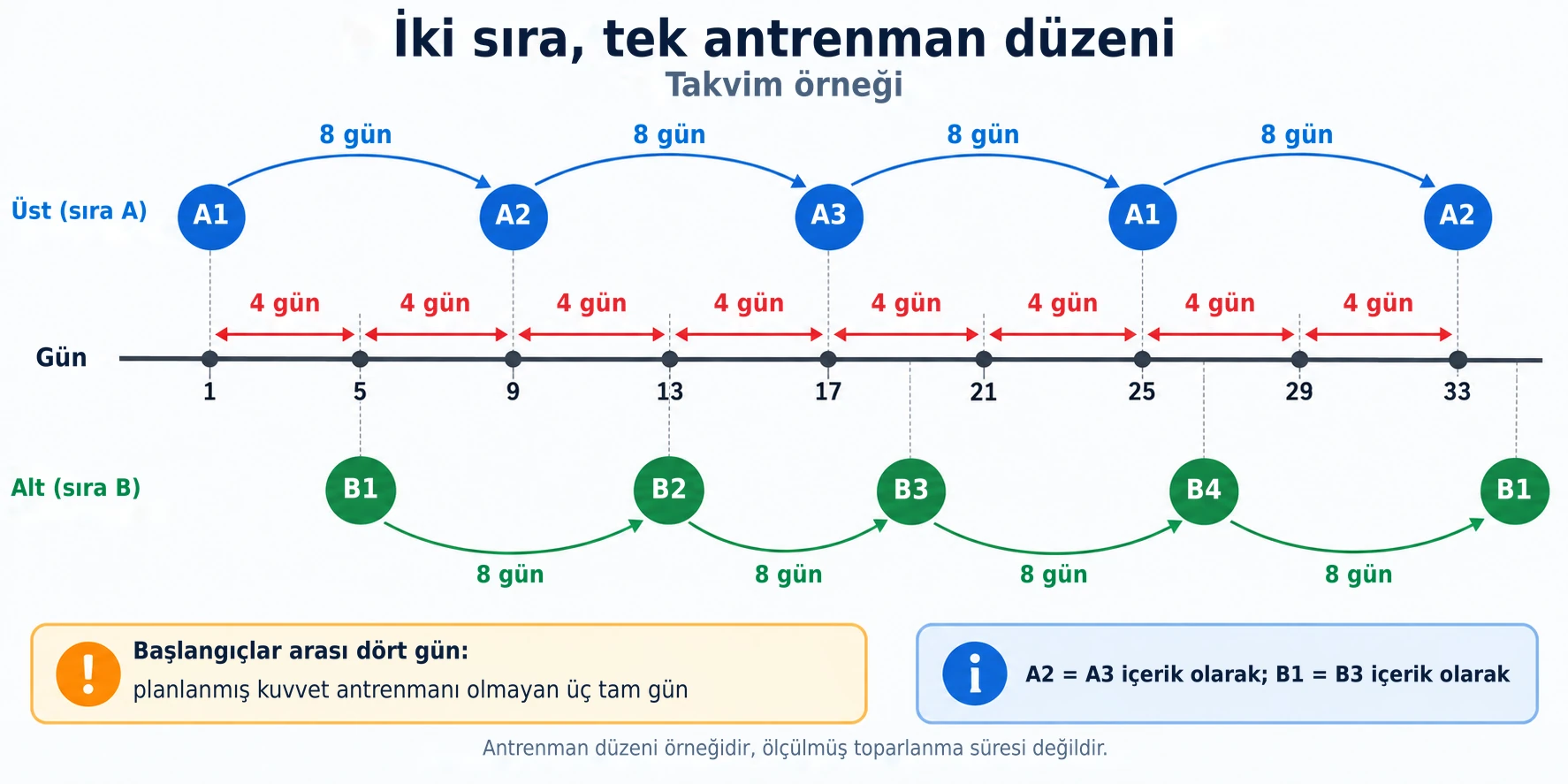 Üst ve alt vücut seansları arasına dört gün koymak, aynı antrenman tipini tekrarlamadan önce sekiz günlük bir toparlanma süresi yaratır.